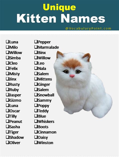 cute cat names male.